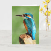 Het Wenskaart van de ijsvogel Kaart (Gele Bloem)