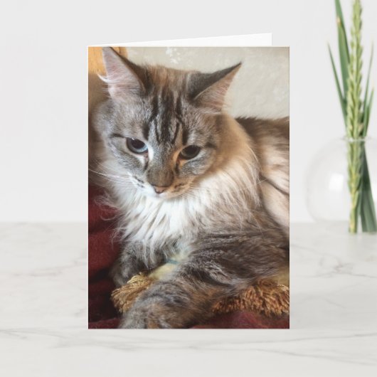 Het wenskaart van de kat bedankkaart (Voorkant)