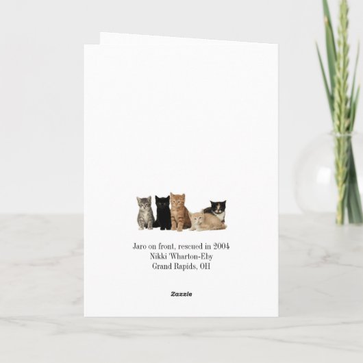 Het Wenskaart van de kat Kaart (Achterkant)