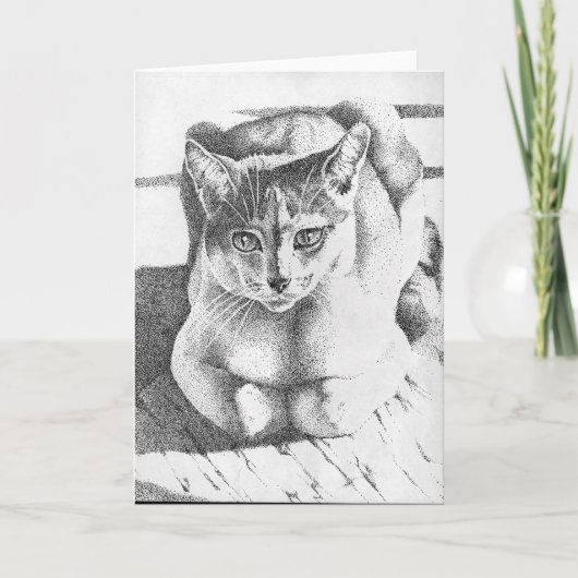 Het Wenskaart van de kat Kaart (Voorkant)