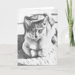 Het Wenskaart van de kat Kaart