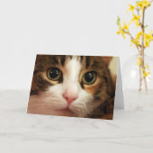 Het Wenskaart van de kat Kaart (Gele Bloem)