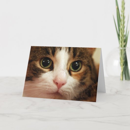 Het Wenskaart van de kat Kaart (Voorkant)