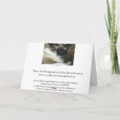 Het Wenskaart van de Kat van Birman van Ragdoll of Kaart (Achterkant)