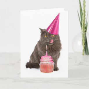 Het Wenskaart van de Kat van de Partij van de Kaart