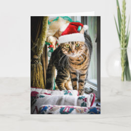 Het Wenskaart van de Kat van de vakantie Feestdagen Kaart