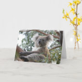Het Wenskaart van de koala Kaart (Gele Bloem)