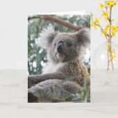 Het Wenskaart van de koala Kaart (Gele Bloem)