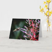 Het Wenskaart van de kolibrie Kaart (Gele Bloem)