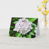 Het Wenskaart van de Laurier van de berg Kaart (Gele Bloem)