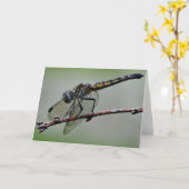 Het Wenskaart van de libel, Spatie binnen Kaart (Gele Bloem)