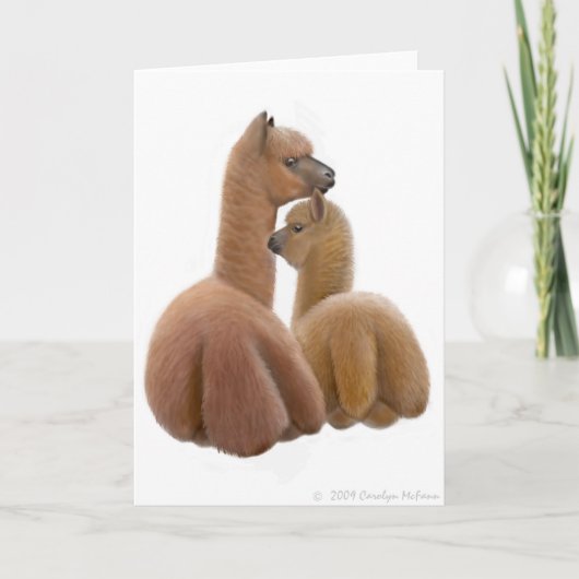 Het Wenskaart van de Liefde van de alpaca Kaart (Voorkant)