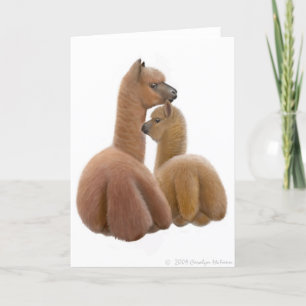 Het Wenskaart van de Liefde van de alpaca Kaart