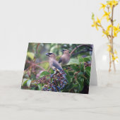 Het Wenskaart van de Lunch van de vogel (Spatie Kaart (Gele Bloem)