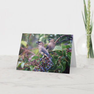 Het Wenskaart van de Lunch van de vogel (Spatie Kaart