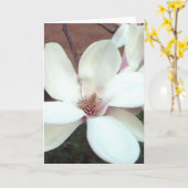 Het Wenskaart van de magnolia Kaart (Gele Bloem)