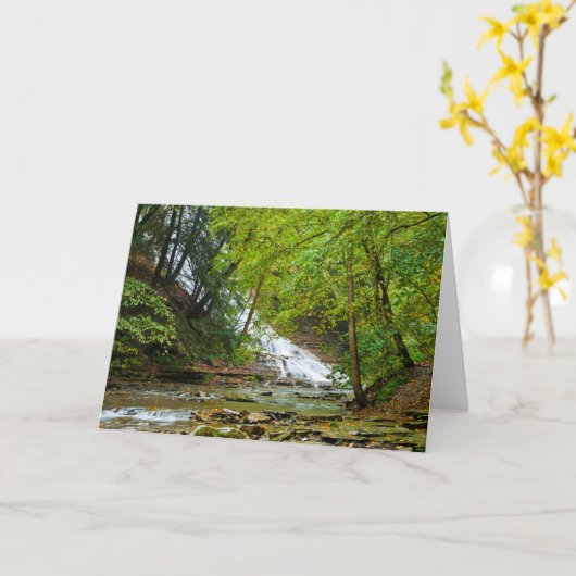 Het Wenskaart van de Nauwe vallei van Grimes Kaart (Gele Bloem)