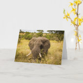 Het Wenskaart van de olifant Kaart (Gele Bloem)