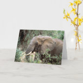 Het Wenskaart van de olifant Kaart (Gele Bloem)