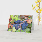 Het Wenskaart van de Oogst van de Vallei van Napa Kaart (Gele Bloem)