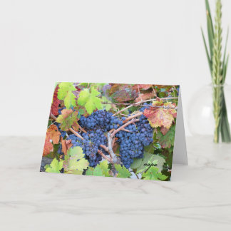 Het Wenskaart van de Oogst van de Vallei van Napa Kaart