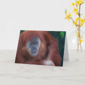 Het Wenskaart van de orangoetan Kaart (Gele Bloem)