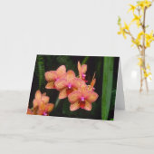 Het Wenskaart van de orchidee Kaart (Gele Bloem)