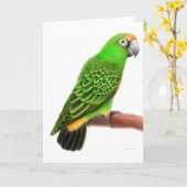 Het Wenskaart van de Papegaai van Jardines Kaart (Gele Bloem)