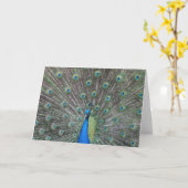 Het Wenskaart van de pauw Kaart (Gele Bloem)