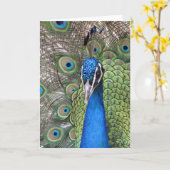 Het Wenskaart van de pauw Kaart (Gele Bloem)