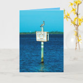 Het Wenskaart van de pelikaan en van het Teken Kaart (Gele Bloem)