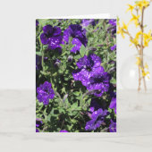 Het wenskaart van de Petunia van de Sterrennacht Kaart (Gele Bloem)