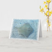 Het Wenskaart van de Pijlstaartrog van het Zoet Kaart (Gele Bloem)