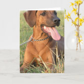 Het Wenskaart van de Redding van Ridgeback van Kaart (Gele Bloem)