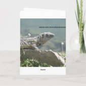 Het Wenskaart van de Rots van de hagedis Kaart (Achterkant)