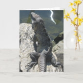 Het Wenskaart van de Rots van de hagedis Kaart (Gele Bloem)