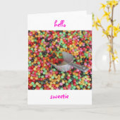 Het Wenskaart van de Schat van het hallo Kaart (Gele Bloem)