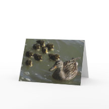 Het Wenskaart van de Stad van New York