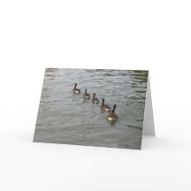 Het Wenskaart van de Stad van New York