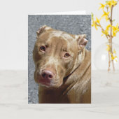 Het Wenskaart van de Stier van de kuil Kaart (Gele Bloem)