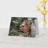 Het Wenskaart van de tijger Kaart (Gele Bloem)
