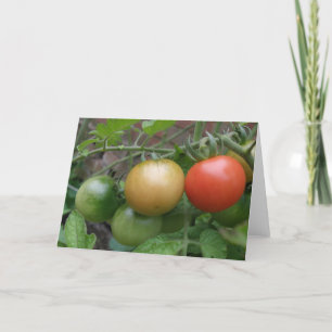 Het Wenskaart van de Tomaten van het verkeerslicht Kaart