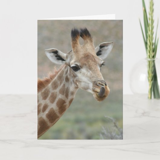 Het Wenskaart van de Tong van de Giraffe Kaart (Voorkant)