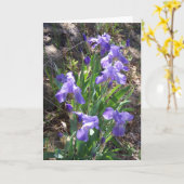 Het Wenskaart van de Tuin van Fower van de iris Kaart (Gele Bloem)