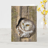 Het Wenskaart van de uil Kaart (Gele Bloem)