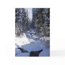 Het Wenskaart van de vakantie