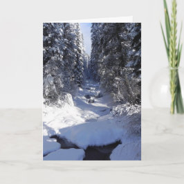 Het Wenskaart van de vakantie Feestdagen Kaart