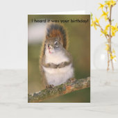 Het Wenskaart van de verjaardag - Eekhoorn Kaart (Gele Bloem)