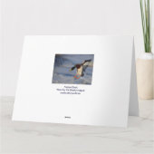 Het Wenskaart van de Verjaardag van de Eend van de Kaart (Achterkant)