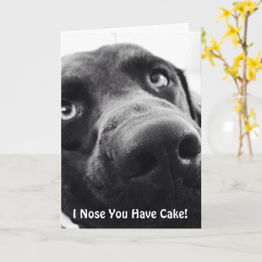 Het Wenskaart van de Verjaardag van het Kaart (Gele Bloem)